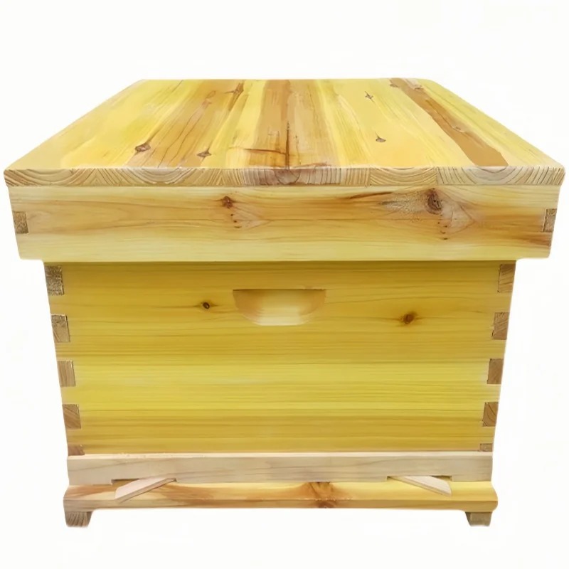 벌집 상자에 들어있는 벌집, 건조된 전나무로 만든 왁스 - Beehive Frame Wax 리뷰 및 가격