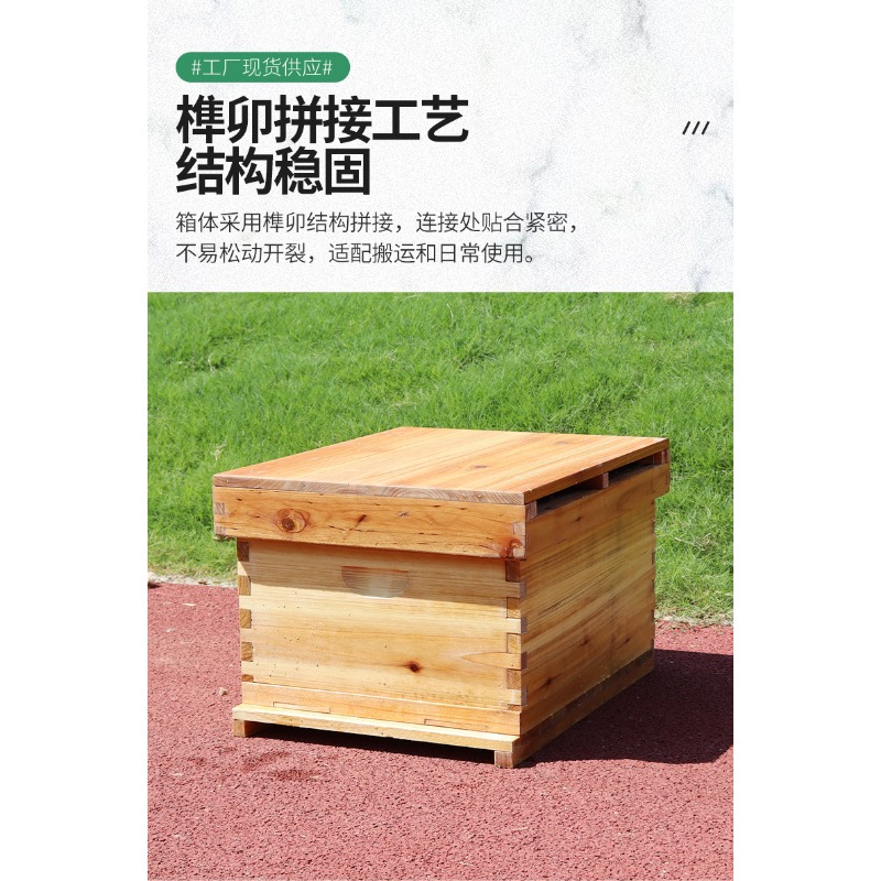 전나무 10프레임 벌통 박스 양봉 도구 왁스 처리됨 - Beehive Frame Wax 리뷰 및 가격