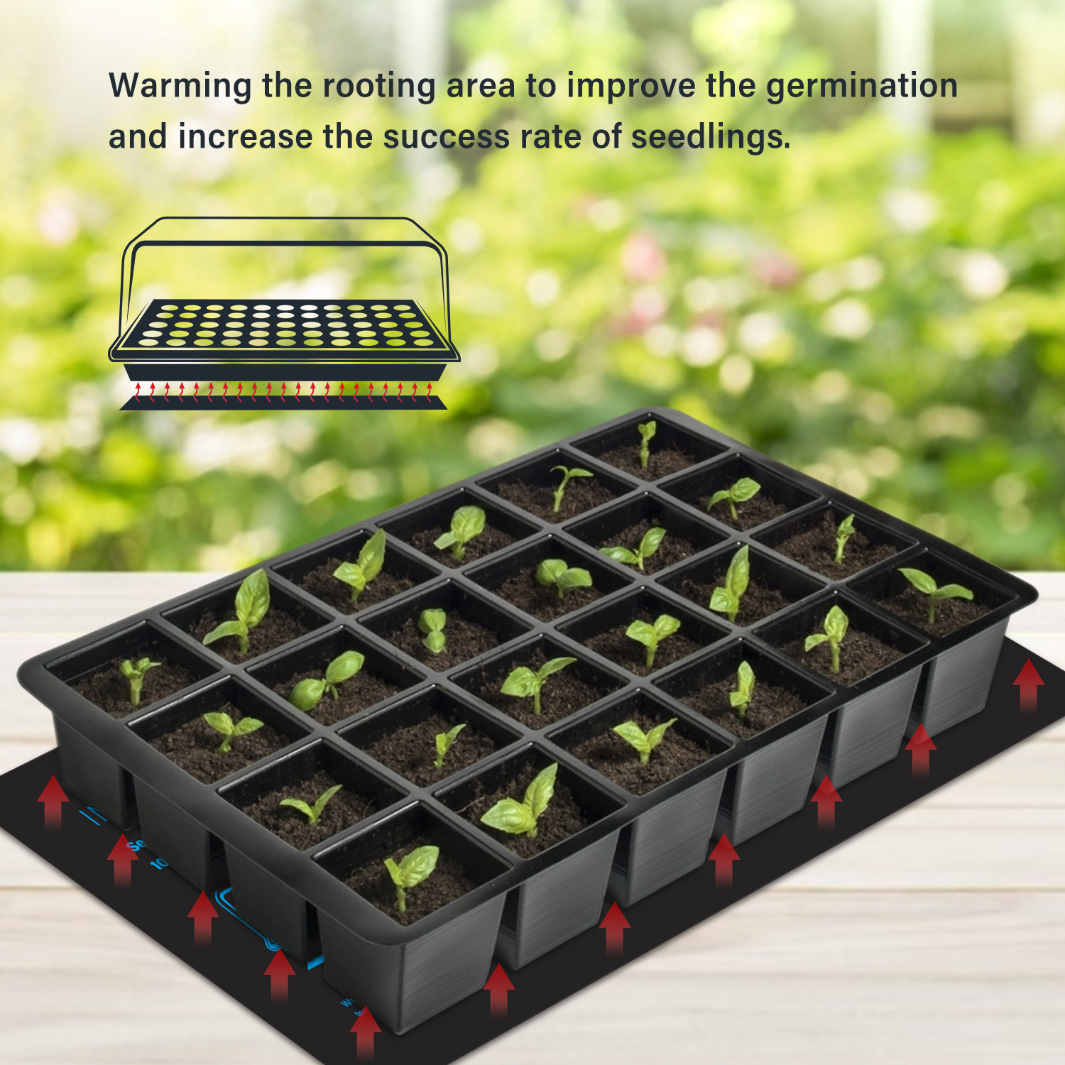 20.75x10CM EU/US/UK/AU 플러그 모종  - Seedling Heat Mat 리뷰 및 가격
